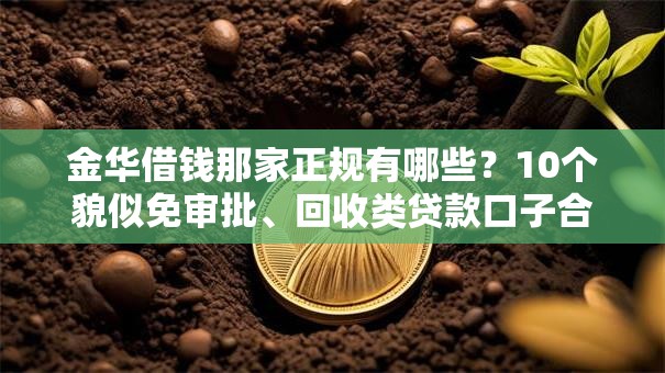 金华借钱那家正规有哪些？10个貌似免审批、回收类贷款口子合集