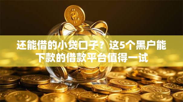 还能借的小贷口子？这5个黑户能下款的借款平台值得一试