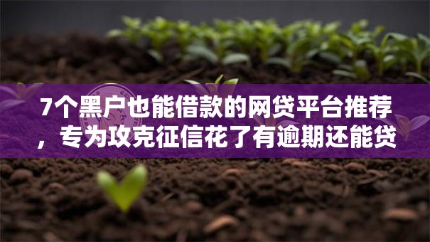 7个黑户也能借款的网贷平台推荐，专为攻克征信花了有逾期还能贷款的软件难题