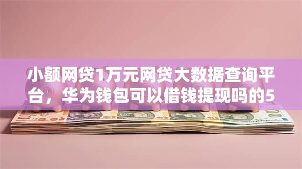 小额网贷1万元网贷大数据查询平台，华为钱包可以借钱提现吗的5个平台介绍