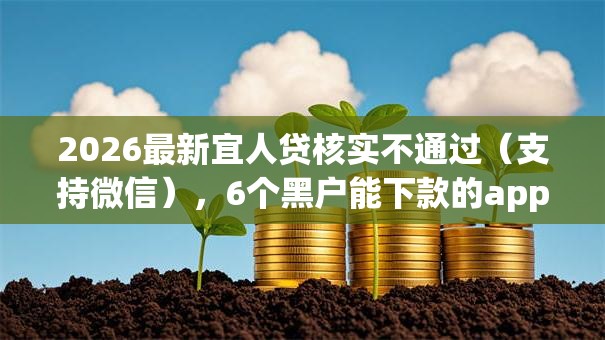 2026最新宜人贷核实不通过（支持微信），6个黑户能下款的app口子入口无私分享
