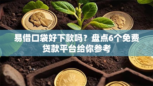 易借口袋好下款吗？盘点6个免费贷款平台给你参考