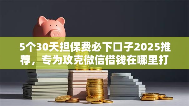 5个30天担保费必下口子2025推荐，专为攻克微信借钱在哪里打开的难题