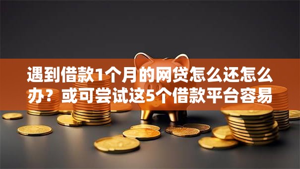 遇到借款1个月的网贷怎么还怎么办？或可尝试这5个借款平台容易通过