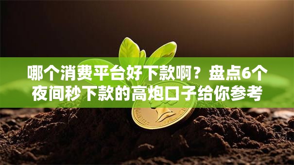 哪个消费平台好下款啊？盘点6个夜间秒下款的高炮口子给你参考