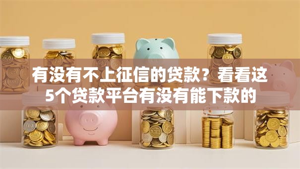 有没有不上征信的贷款？看看这5个贷款平台有没有能下款的