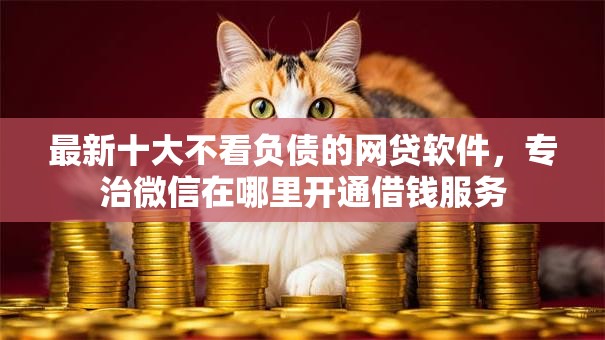最新十大不看负债的网贷软件，专治微信在哪里开通借钱服务