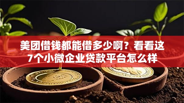 美团借钱都能借多少啊?看看这7个小微企业贷款平台怎么样 美团借钱都能借多少啊?看看这7个小微企业贷款平台怎么样