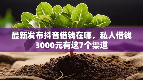 最新发布抖音借钱在哪,私人借钱3000元有这7个渠道 最新发布抖音借钱在哪,私人借钱3000元有这7个渠道