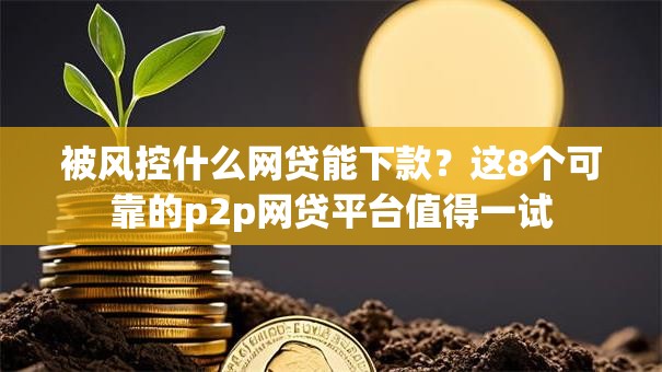 被风控什么网贷能下款？这8个可靠的p2p网贷平台值得一试