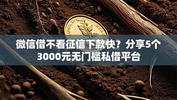 微信借不看征信下款快？分享5个3000元无门槛私借平台