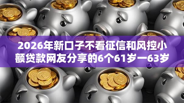 2026年新口子不看征信和风控小额贷款网友分享的6个61岁一63岁贷款平台我觉得不错！