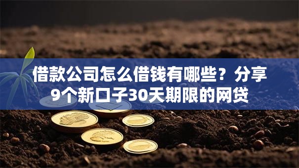 借款公司怎么借钱有哪些?分享9个新口子30天期限的网贷 借款公司怎么借钱有哪些?分享9个新口子30天期限的网贷