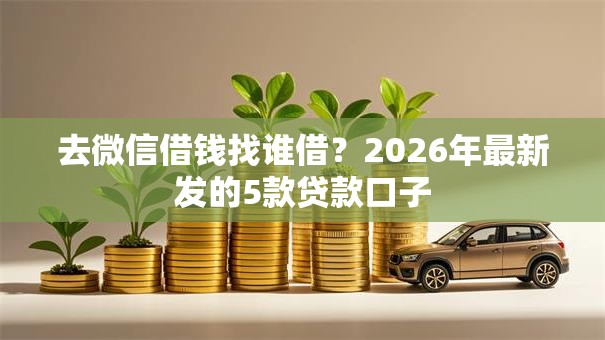 去微信借钱找谁借？2026年最新发的5款贷款口子