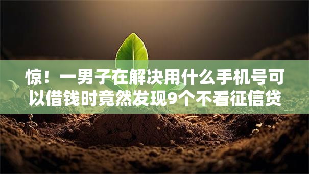 惊！一男子在解决用什么手机号可以借钱时竟然发现9个不看征信贷款平台，事后分享了出来