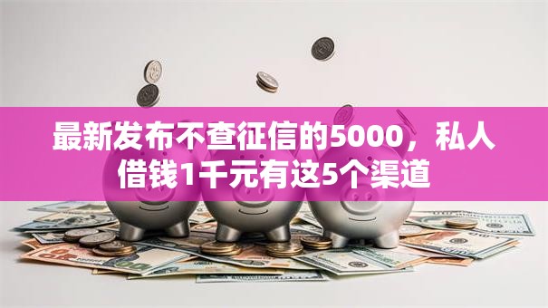 最新发布不查征信的5000，私人借钱1千元有这5个渠道