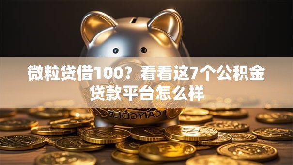 微粒贷借100？看看这7个公积金贷款平台怎么样