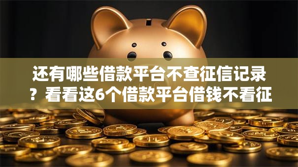 还有哪些借款平台不查征信记录？看看这6个借款平台借钱不看征信怎么样