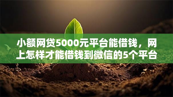 小额网贷5000元平台能借钱，网上怎样才能借钱到微信的5个平台介绍