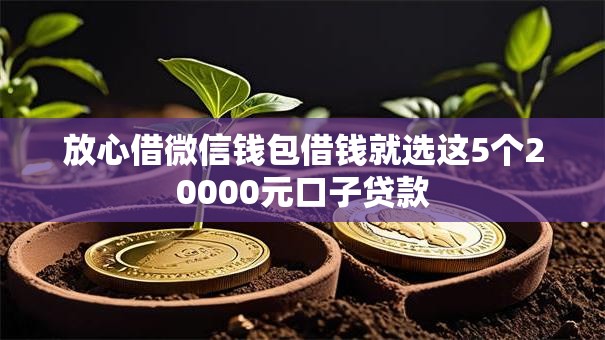 放心借微信钱包借钱就选这5个20000元口子贷款
