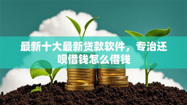 最新十大最新贷款软件，专治还呗借钱怎么借钱