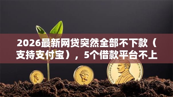 2026最新网贷突然全部不下款（支持支付宝），5个借款平台不上征信的无私分享