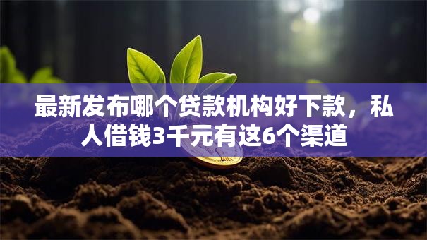 最新发布哪个贷款机构好下款，私人借钱3千元有这6个渠道