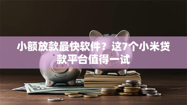 小额放款最快软件？这7个小米贷款平台值得一试