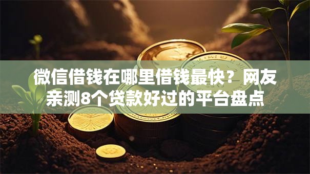 微信借钱在哪里借钱最快？网友亲测8个贷款好过的平台盘点
