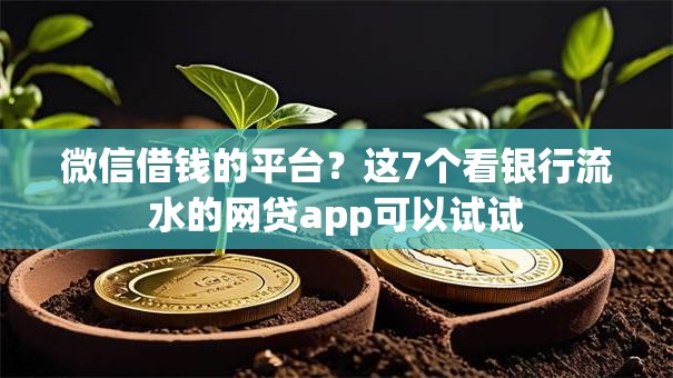微信借钱的平台？这7个看银行流水的网贷app可以试试