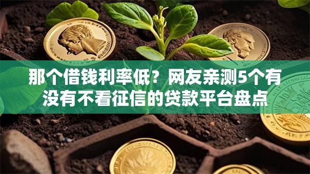 那个借钱利率低?网友亲测5个有没有不看征信的贷款平台盘点 那个借钱利率低?网友亲测5个有没有不看征信的贷款平台盘点
