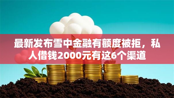 最新发布雪中金融有额度被拒，私人借钱2000元有这6个渠道
