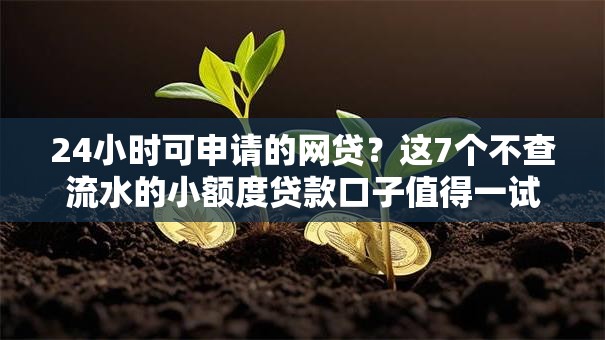 24小时可申请的网贷？这7个不查流水的小额度贷款口子值得一试
