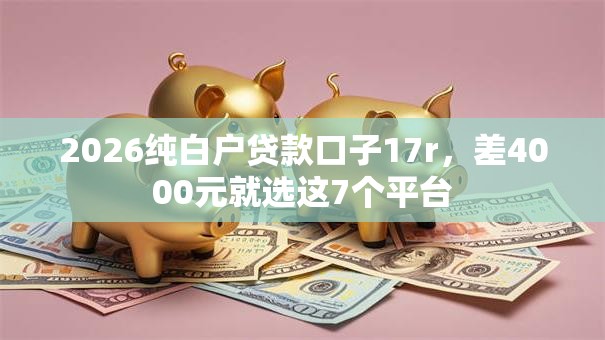 2026纯白户贷款口子17r，差4000元就选这7个平台