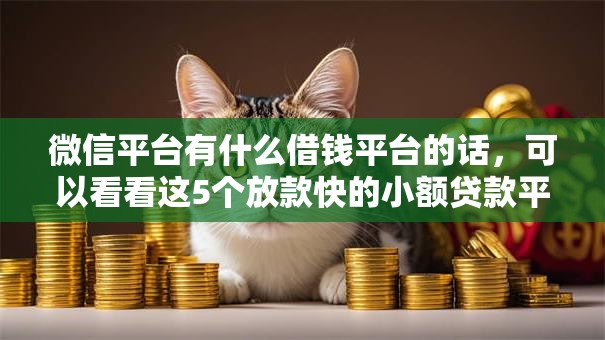 微信平台有什么借钱平台的话，可以看看这5个放款快的小额贷款平台