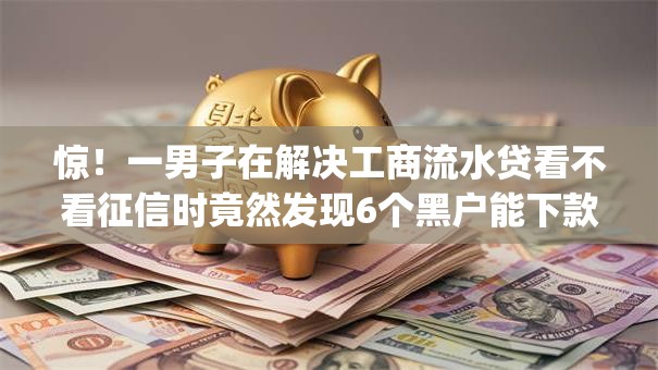 惊！一男子在解决工商流水贷看不看征信时竟然发现6个黑户能下款的app，事后分享了出来