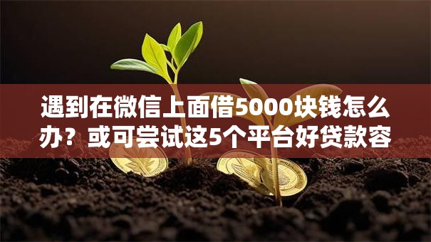 遇到在微信上面借5000块钱怎么办？或可尝试这5个平台好贷款容易通过