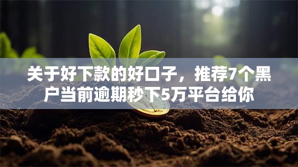 关于好下款的好口子，推荐7个黑户当前逾期秒下5万平台给你