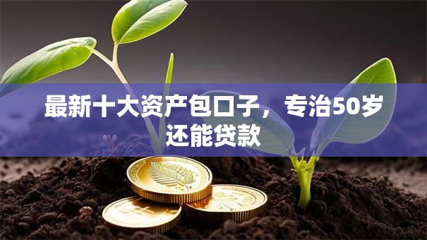 最新十大资产包口子，专治50岁还能贷款