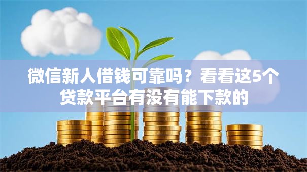 微信新人借钱可靠吗？看看这5个贷款平台有没有能下款的