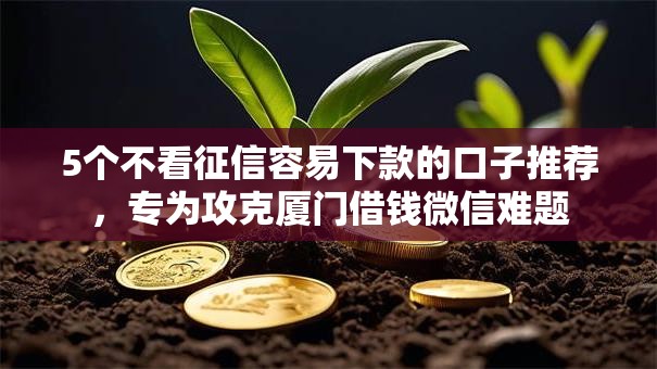 5个不看征信容易下款的口子推荐，专为攻克厦门借钱微信难题
