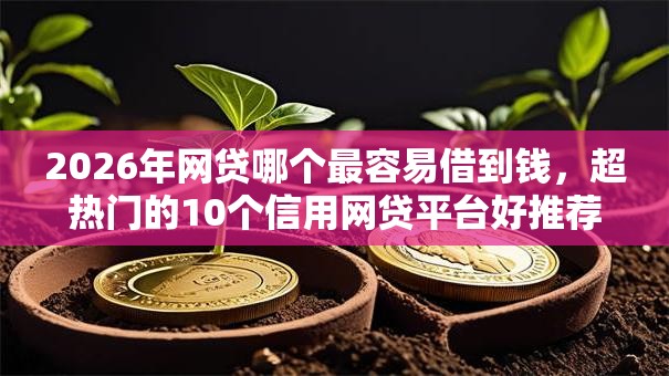 2026年网贷哪个最容易借到钱，超热门的10个信用网贷平台好推荐