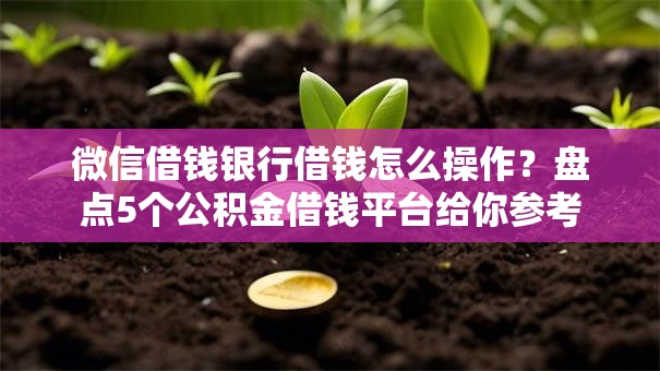 微信借钱银行借钱怎么操作？盘点5个公积金借钱平台给你参考