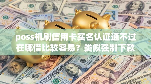 poss机刷信用卡实名认证通不过在哪借比较容易？类似强制下款的5个口子参考