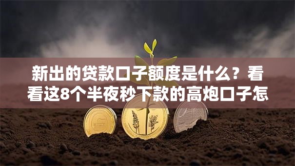 新出的贷款口子额度是什么?看看这8个半夜秒下款的高炮口子怎么样 新出的贷款口子额度是什么?看看这8个半夜秒下款的高炮口子怎么样
