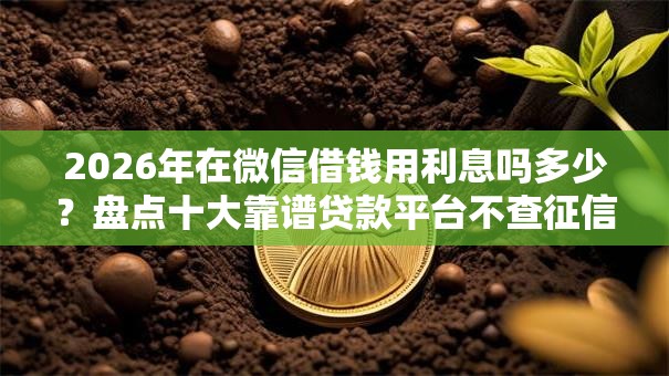 2026年在微信借钱用利息吗多少？盘点十大靠谱贷款平台不查征信