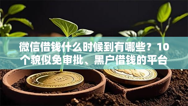 微信借钱什么时候到有哪些？10个貌似免审批、黑户借钱的平台合集