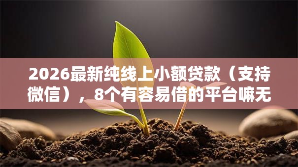 2026最新纯线上小额贷款(支持微信),8个有容易借的平台嘛无私分享 2026最新纯线上小额贷款(支持微信),8个有容易借的平台嘛无私分享