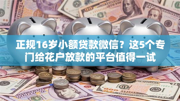 正规16岁小额贷款微信？这5个专门给花户放款的平台值得一试