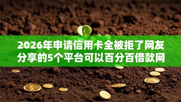 2026年申请信用卡全被拒了网友分享的5个平台可以百分百借款网贷我觉得不错！